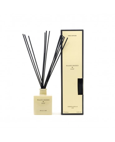 Black Orchid & Lily Micado